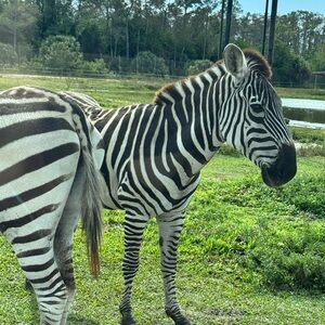 Meet your Posher, Namyr